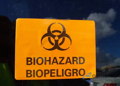 2010 Ford F-150 Fx2 Sport/Xl/Xlt z USA, uszkodzony, nr VIN 1FTEW1C82AFD13156